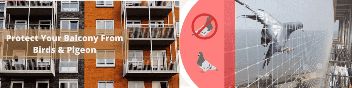 Protect your Balcony from Birds and Pigeons